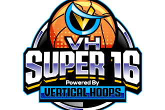 do baseball basketball football sport team logo design