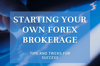 consult with launching your forex broker, crypto exchange