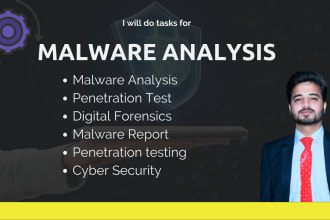 do expert malware analysis and and cyber security tasks