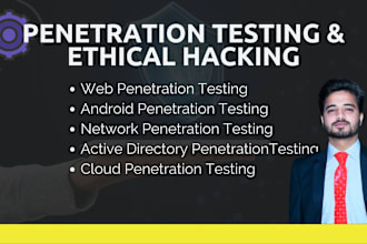 do cyber security and penetration testing tasks