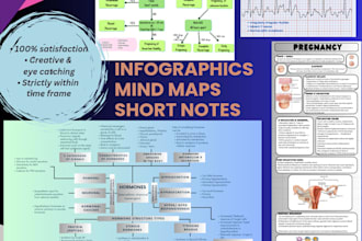 design customized infographics within 24 hours