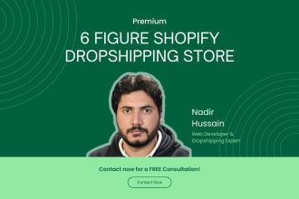make 6 figure shopify dropshipping store or shopify website