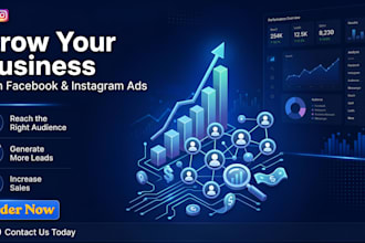 setup and manage fb, ig ads campaign for leads and sales