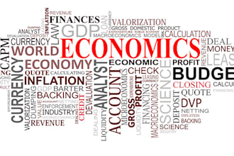 assist you with accounting finance economics and management