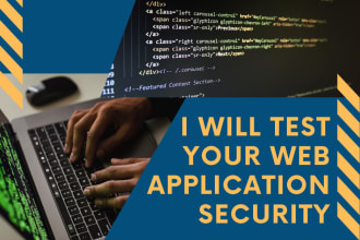 test your web application security