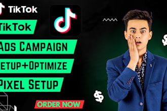setup and manage tik tok ads account, profitable tiktok ads, tik tok advertisin