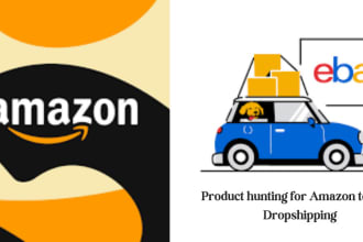 hunt products for amazon to ebay dropshipping also manage your ebay account