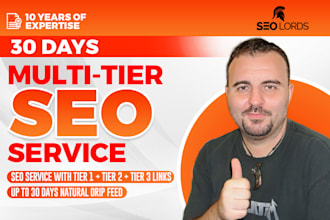 run a 30 day multi tier SEO service to improve your rankings