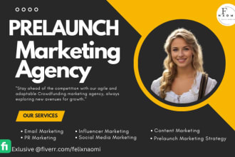 create, promote prelaunch page for indiegogo kickstarter crowdfunding campaign