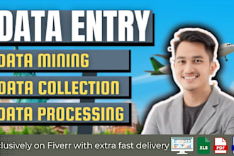 do data entry, data mining, data collection and copy paste