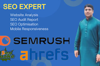 do deep website analysis and provide SEO audit report