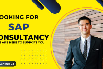 provide professional sap implementation guidance and troubleshooting