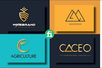 elevate your brand with a unique visual identity with professional logo
