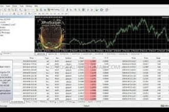 create and setup an hft trading robot, forex bot expert advisor for metatrader 4