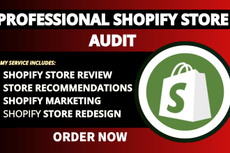 review and audit your shopify store to boost website conversion