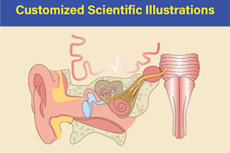 do scientific illustrations diagram and figures