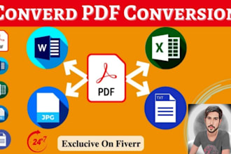 ms excel experts enter any data or set in ms excel and any formats