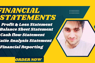prepare financial statements, balance sheet, profit and loss, cash flow