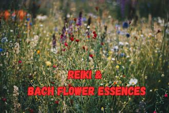 send you reiki along with a specific bach flower remedy