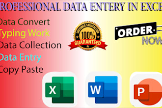 do data entry, copy paste, web research, excel data entry