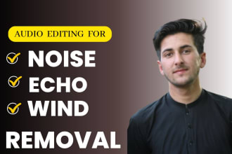 enhance voice, remove background noise, echo, repair, fix, and clean audio