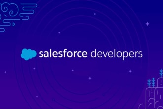 be your salesforce developer