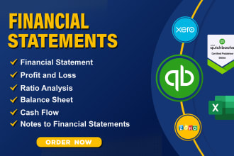 prepare financial statements, balance sheet, profit and loss, cash flows