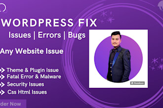 fix wordpress issues, wordpress website or errors