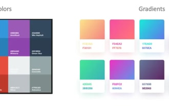create an exclusive color palette for the brand or website
