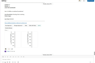 be a slack app or slack bolt integration developer