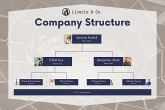 design graphic organizational chart and flow chart