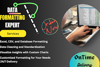 professionally format your data for clarity and efficiency