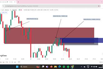 teach you how to trade and invest in the stock market, forex or crypto market