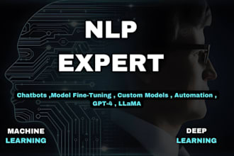 provide expert nlp, ai and machine learning solution