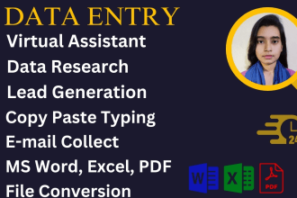 be virtual assistant data entry web research lead generation