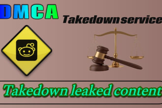 report the infringing content from reddit under dmca