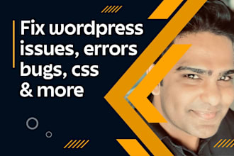 fix wordpress issues, errors, bugs, and CSS problems fast