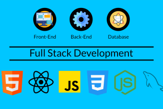 develop interfaces, ecommerce solutions, interactive dashboards or saas apps