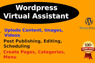 upload content, blog and article posting as wordpress virtual assistant