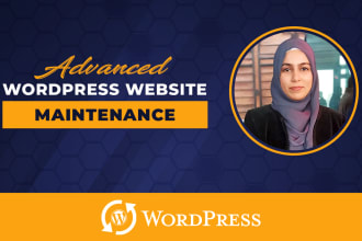 do wordpress website maintenance, monthly website updates, support