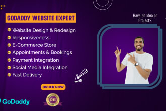 design or redesign professional godaddy website