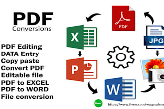 do PDF to excel, ocr, retype, formatting expert