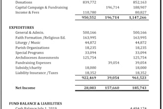 help you for check yours financial statements manage
