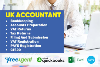 prepare UK company accounts and ct600