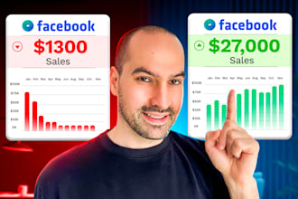 professionally set up and manage facebook meta ads campaigns to maximize sales