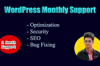 provide monthly wordpress support