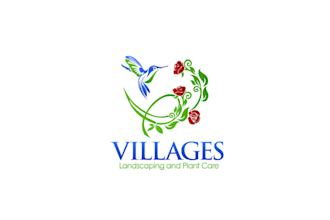 make new super colorful logo for a hummingbird landscaping