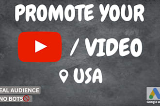 do youtube video promotion professionally in the USA