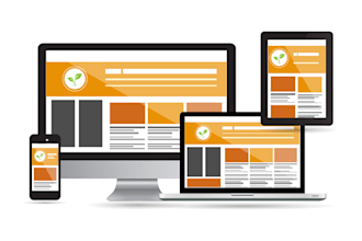 design website with responsive layout wordpress