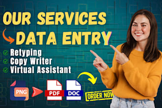 do retyping excel data entry job, copy paste, ms word typing data entry
